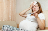 Mẹ bầu mà mắc sốt xuất huyết vào 2 thời điểm này sẽ đặc biệt nguy hiểm