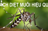 Mách bạn cách diệt muỗi không dùng tới hoá chất, đảm bảo trong nhà chẳng có bóng dáng con muỗi nào