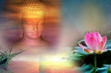 Phật dạy: “Bồ tát sợ nhân, chúng sinh sợ quả” hành động của mỗi người tốt hay xấu đều có luật nhân quả
