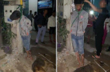 Vụ thanh niên trộm chó bị đánh, treo cổ trên cột điện: Cư dân mạng tranh cãi nảy lửa chuyện đánh hay tha