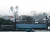 CẬP NHẬT: Bão số 12 về Khánh Hoà, toàn bộ thành phố mất điện, sóng biển cao 8m