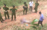 Mức án nào dành cho nghi phạm gi.ết người phụ nữ ở Thái Nguyên?
