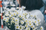 CÚC HOẠ MI NỞ RỘ: Mùa hoa về trên phố, người Hà Nội bất chấp gió rét tạo dáng giữa thảm hoa