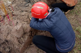 Thi thể cô gái dưới cống nước ở Nam Định: Người thân đến nhận xác, khóc ngất trước mộ cô gái trẻ