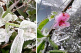 Hiện tượng băng tuyết bất thường tại Nghệ An: Sa Pa thứ hai trên dải đất miền Trung