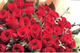 Nhân ngày 8/3, chàng trai chi 25 triệu mua bó hồng 99 bông tặng bạn gái