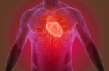5 dấu hiệu nhận biết bệnh van tim, chỉ cần có 1 cũng nên đến bệnh viện kiểm tra ngay