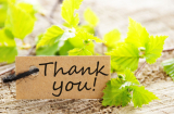 Con người càng biết nói cảm ơn thì càng nhiều phúc báo