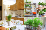 Cách làm chậu cây xanh mát trang trí phòng bếp đẹp mắt