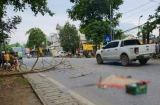 Vụ đôi nam nữ thương vong vì cây rơi trúng ở Tuyên Quang: cô gái đang mang thai 5 tuần