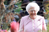 Nữ hoàng Elizabeth II từ chối phẫu thuật đầu gối, Hoàng gia Anh diễn tập kịch bản băng hà
