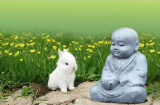 Bốn chân lý về hạnh phúc thực sự đức Phật đã dạy
