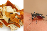 Ăn 9 thực phẩm này muỗi chắc chắn sẽ không dám lại gần bạn