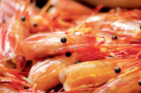 4 sai lầm tai hại khi ăn hải sản cần tránh kẻo gây hại cho sức khỏe