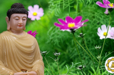 Phật dạy: Hãy cảm ơn người đối xử tệ với bạn vì họ đang gánh nghiệp giúp bạn