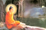 Nước suối đục ngầu, đức Phật vẫn sai đệ tử lấy về uống và bài học thâm thúy đằng sau