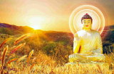 ‘Đức Phật, tại sao Ngài không giúp con?’, câu trả lời khiến ai cũng phải suy ngẫm