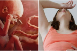 6 dấu hiệu thai nhi đang “kêu cứu”, các mẹ đừng có thờ ơ