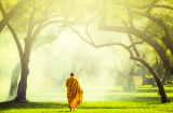 Lời Phật dạy: 3 điều còn thì không biết, mất đi mới biết