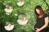 Phụ nữ thường ngủ mơ thấy điều gì khi mang bầu và giấc mơ của phụ nữ đang mang thai báo hiệu điều gì?