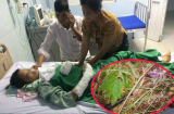 Vụ bé 14 tuổi bị cưỡng hiếp, cứa cổ diệt khẩu tại Lai Châu: Bác sĩ 'sốc' với những tổn thương của bệnh nhân