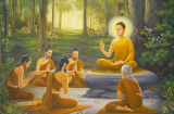 14 lời dạy của Phật giúp bạn tìm được hướng đi trong đời và sự thanh thản