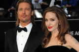Angelina Jolie và Brad Pitt sẽ hội ngộ trong tháng 12 tới