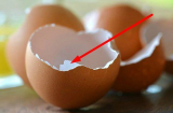 Chớ tiện tay ném bỏ vỏ trứng gà, bạn chắc chắn TIẾC ĐỨT RUỘT khi biết được công dụng CÓ MỘT KHÔNG HAI này