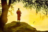 Có người hỏi Đức Phật: “Làm sao sống thanh thản, vứt bỏ mọi buồn lo?” Và câu trả lời chỉ có 2 từ