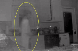 Kiểm tra camera người phụ nữ tưởng có người lạ vào nhà, ai ngờ nhìn kĩ mới phát hiện điều hoảng hồn