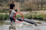 Con trai bị cá sấu cắn rồi kéo xuống sông, người cha lập tức làm hành động này khiến mọi người 'hãi hùng'