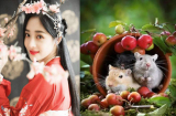 3 con giáp được tiền ùn ùn chui vào ví, nửa cuối 2019 VẠN SỰ NHƯ Ý, TỶ SỰ NHƯ MƠ, giàu bất ngờ