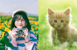Giữa tháng 2, có 3 con giáp này may mắn được Thần Tài gõ cửa, cả nhà đếm tiền mỏi tay