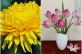 Thầy phong thủy tiết lộ: 5 loại hoa đẹp bày phòng khách không sớm thì muộn, kiểu gì cũng giàu