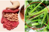 Bác sĩ cảnh báo: Đây chính là 5 loại rau chứa đầy ấu trùng sán bạn tuyệt đối không đưa vào bữa ăn