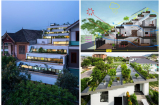 Chiêm ngưỡng ngôi nhà ẴM TRỌN giải thưởng lớn về kiến trúc: Ruộng bậc thang thay cho mái, TỎA SÁNG NHẤT miền Trung