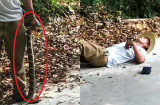 Tưởng rắn đã chết, người đàn ông cầm lên tạo dáng chụp ảnh thì vài giây sau gặp ngay chuyện kinh hoàng