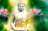 7 điều Đức Phật dạy về cuộc sống cần phải ghi nhớ để an nhiên, hạnh phúc