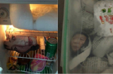 Mở tủ lạnh tìm đồ ăn, người chồng hoảng hồn thấy khuôn mặt cô gái mỉm cười bên trong
