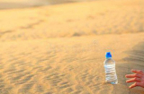 Bạn sẽ làm gì nếu đi trên sa mạc, có 10 chai nước nhưng đến 9 chai là độc?