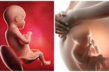 4 dấu hiệu chứng tỏ thai nhi trong bụng đang ĐÓI, mẹ bầu nhớ ăn ngay để con yêu ngoan ngoãn, khỏe mạnh