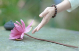5 quy tắc theo triết lý nhà Phật để sống ung tự tại, hạnh phúc đến cuối đời