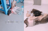Háo hức mua heo 'mini' về làm thú cưng, một năm sau cô gái 'ngã ngửa' với hình dáng của con vật