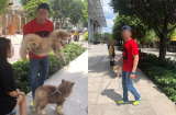 Cặp đôi Việt Kiều dắt chó không rọ mõm, đi tiểu bậy còn xúc phạm bác bảo vệ khiến dân mạng 'dậy sóng'