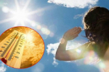 4 biểu hiện thường gặp khi cơ thể bị sốc nhiệt và 'tuyệt chiêu' phòng tránh những nguy hại mùa nắng nóng