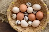 Trứng gà, trứng vịt, trứng cút trứng nào tốt hơn cho trí não bé: Mẹ thông thái đọc để cho con ăn đúng