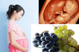Mẹ bầu ăn nho giúp ngăn ngừa thiếu máu, tăng sức đề kháng, thai nhi khỏe mạnh thông minh, lớn vù vù trong bụng
