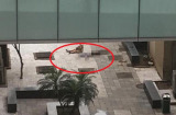 Một nữ bệnh nhân bất ngờ nhảy từ tầng cao xuống đất trong khuôn viên Bệnh viện Bạch Mai