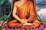 Phật dạy: “Học chữ nhẫn, tu tập tạo nên nghiệp lành!”