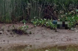 Đi thả lưới, người dân bất ngờ phát hiện một thi thể bé trai đang phân hủy bên bờ sông